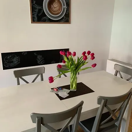 Zofia דוז'ניקי ז'דרוז'