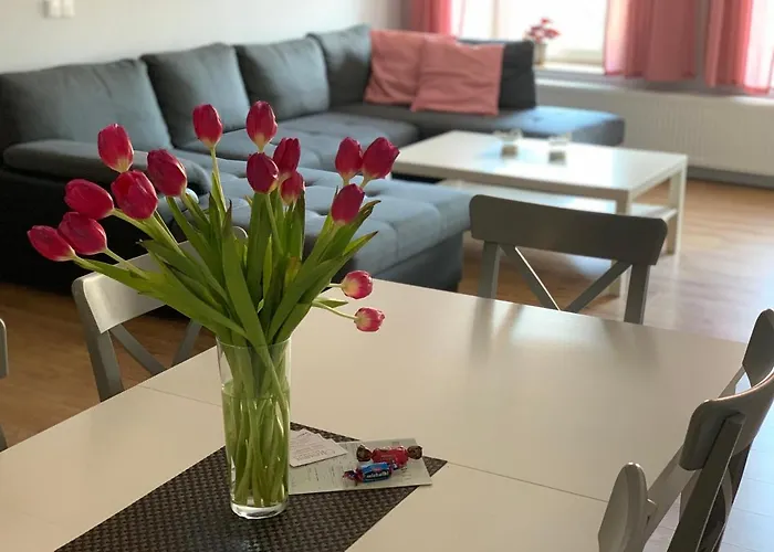 Zofia アパート *