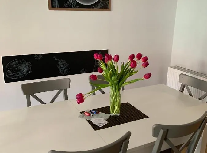 Zofia דוז'ניקי ז'דרוז'